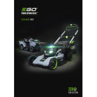 image_ego